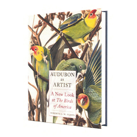 Audubon as Artist: A New Look at The Birds of America