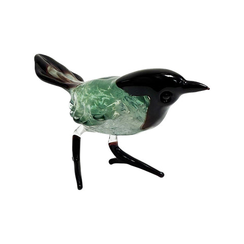 Magpie Glass Bird