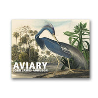 Aviary - John James Audubon Boxed Note Cards - New-York Historical Society Museum Store