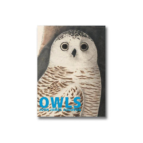 Owls - John James Audubon Boxed Note Cards