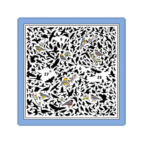 Avian Composition Scarf