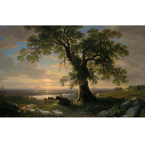 Solitary Oak Oppenheimer Print