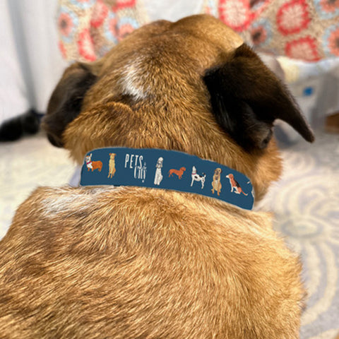 Dog Pack Collar by Julia Rothman