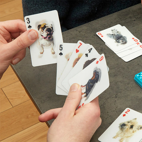 3D Dogs Playing Cards