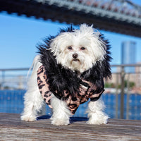 Perla Pet Jacket