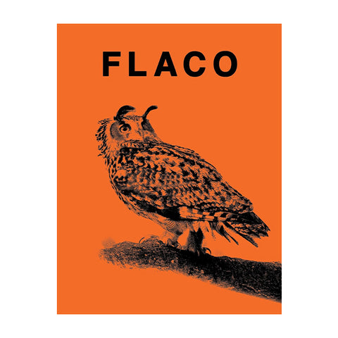 FLACO: The Owl Who Escaped Captivity and Won the Hearts of the World