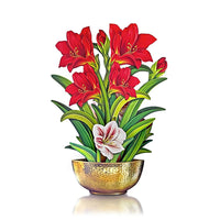 Mini Scarlet Amaryllis Pop-up Greeting Card