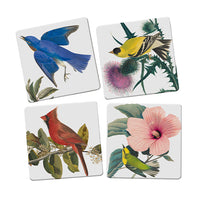 Audubon Songbirds Coaster (Set of 4)