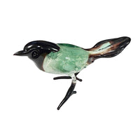 Magpie Glass Bird
