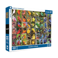 Rainbow of Birds 1000-Piece Puzzle