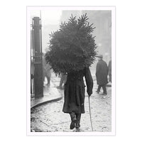 Taking Christmas Tree Home Boxed Notecards