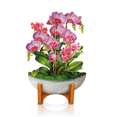 Mini Orchid Oasis Bouquet Pop-up Greeting Card