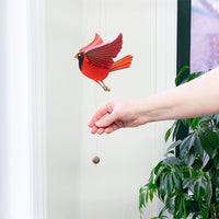 A red cardinal bird hanging mobile with a dangling ball, shown near a person's hand in an indoor setting with a white wall and green plant visible.