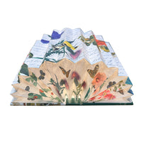 Birds Of America Light Book