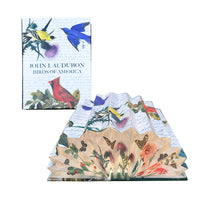 Birds Of America Light Book