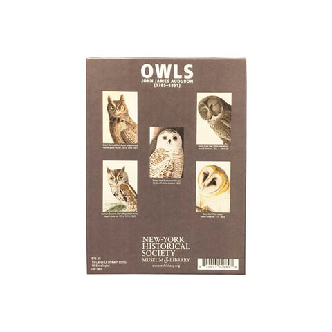 Owls - John James Audubon Boxed Note Cards