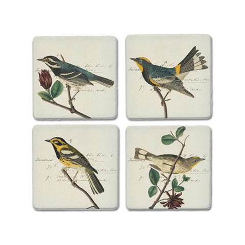 Audubon's Warblers Coaster Set - New-York Historical Society Museum Store