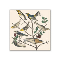 Warblers & Bluebirds Trivet