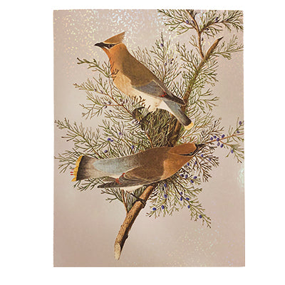 John James Audubon Cedar Waxwing Box Cards