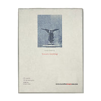 Bethesda Fountain Boxed Holiday Cards