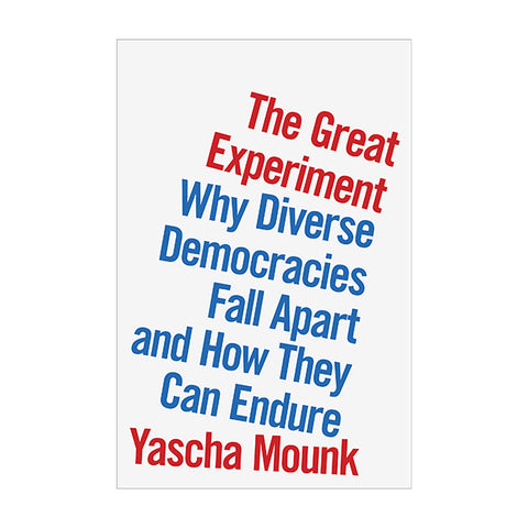 The Great Experiment: Diverse Democracies Fall Apart And How They Can Endure