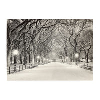 Lights of the Season Boxed Note Cards