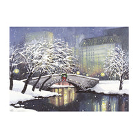 Snowfall in the Park Boxed Note Cards