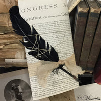 Black Quill Pen