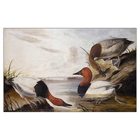 Canvas-backed Duck Oppenheimer Print - New-York Historical Society Museum Store