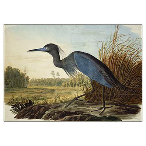 Blue Crane or Heron Oppenheimer Print - New-York Historical Society Museum Store