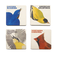 Audubon Songbird Quartet Coaster Set - New-York Historical Society Museum Store