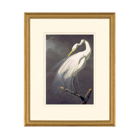 Audubon Great Egret Framed Oppenheimer